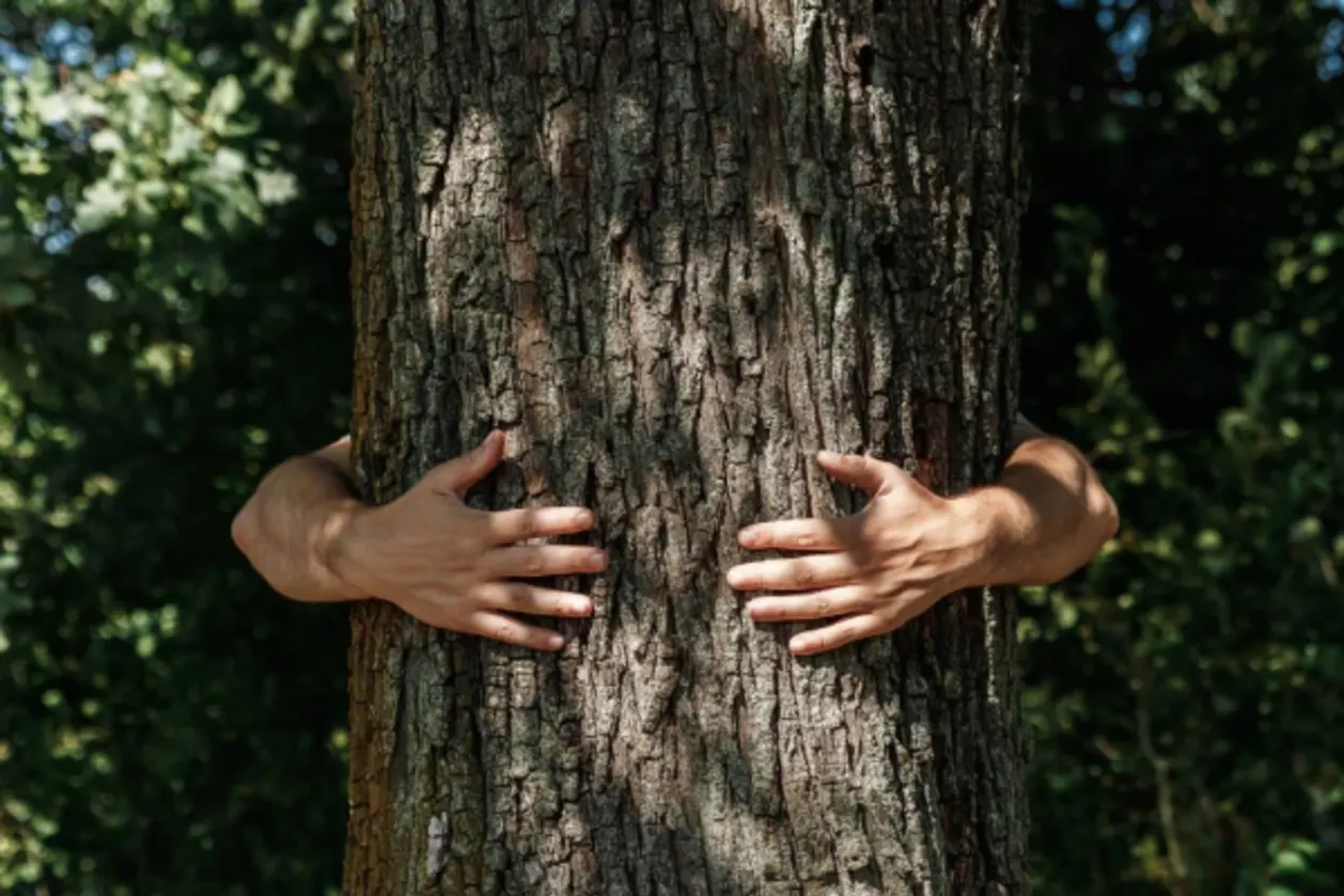 Man hugging tree